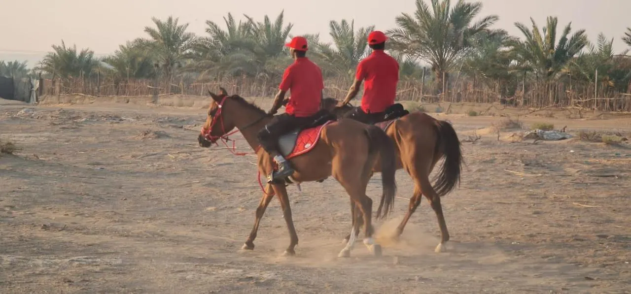 Al Bait Resort With Private Swimming Pools -Hrs Stables Al Hamraniyah Farm stay