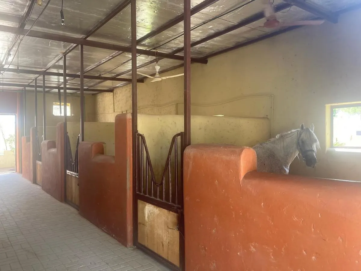 Farm stay Al Bait Resort With Private Swimming Pools -Hrs Stables Al Hamraniyah