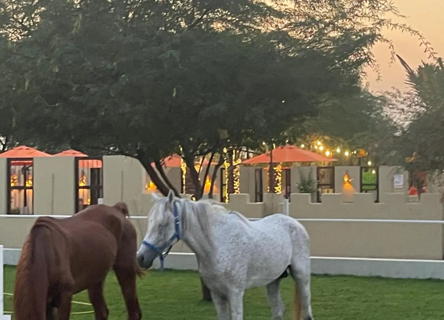 Al Bait Resort With Private Swimming Pools -Hrs Stables Al Hamraniyah United Arab Emirates